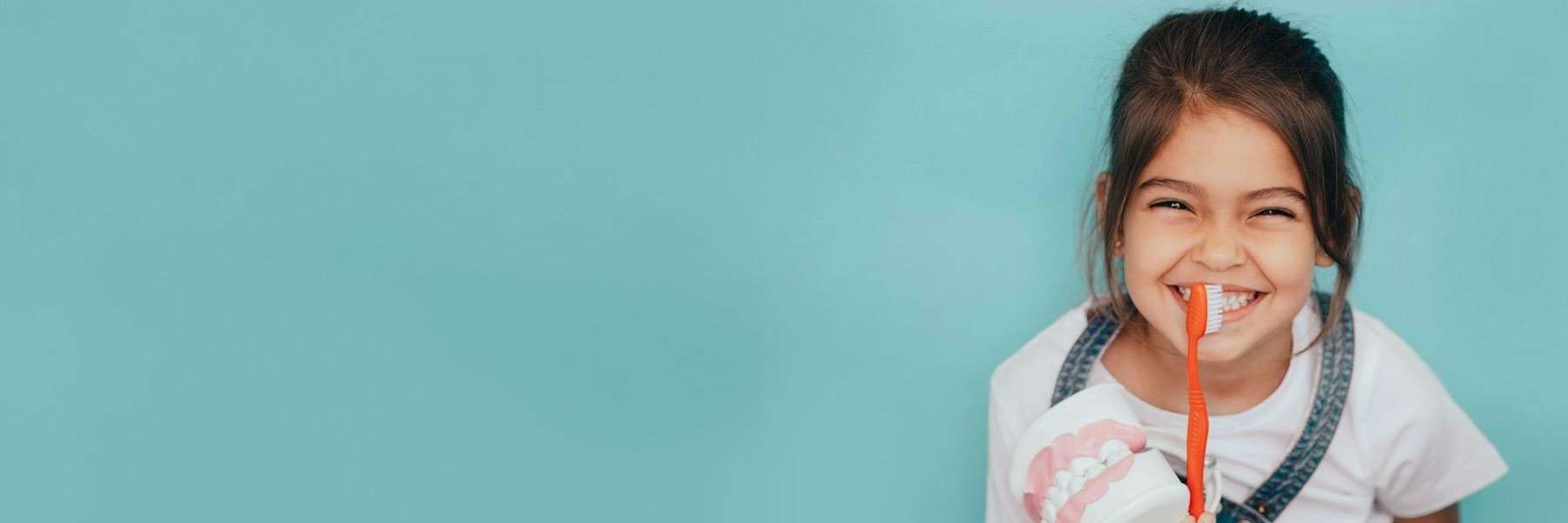 A smiling girl with a toothbrush and dental model